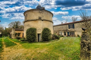 maison de campagne à la vente -   17400  MAZERAY, surface 281 m2 vente maison de campagne - UBI479492897